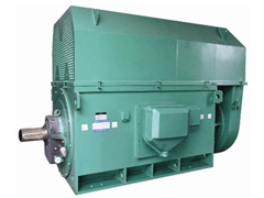 石嘴山Y系列6KV高压电机